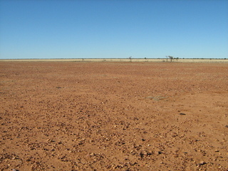 #1: The Confluence Point From 50m West Looking East