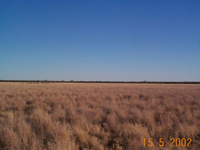 Looking north from the confluence point