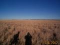 #2: Looking west from the confluence point