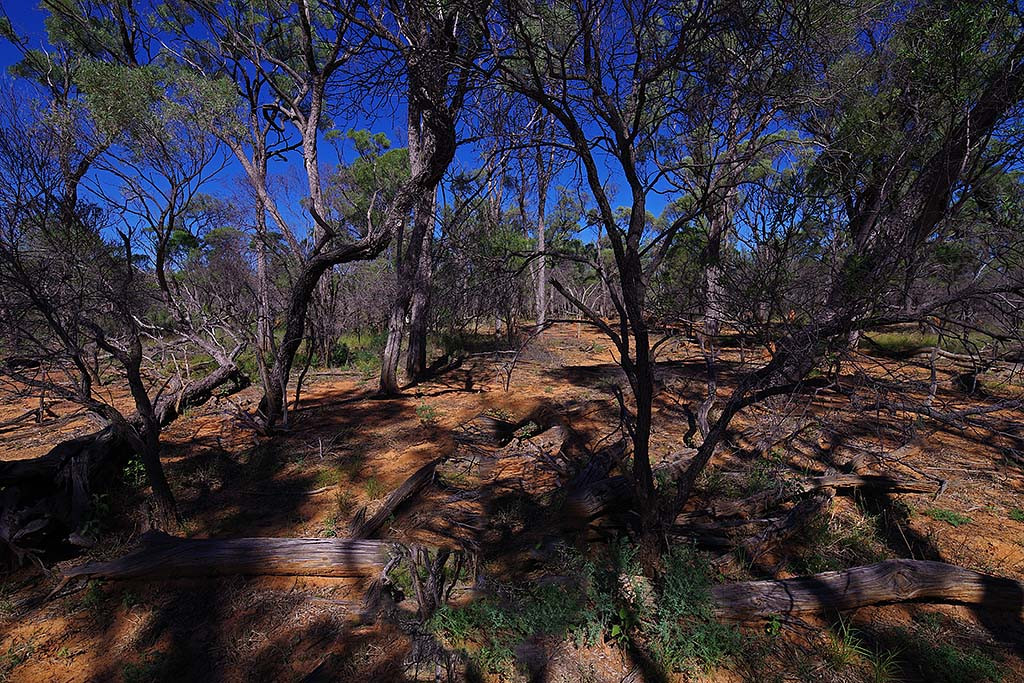 view to the south from the confluence