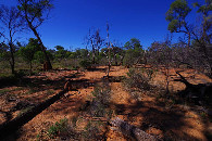 #3: view to the east from the confluence