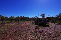 #6: as close as we could get in the vehicles, looking towards the confluence around 400 metres away