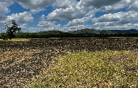 #12: The farm field where I began my hike - 4.63 km East of the point