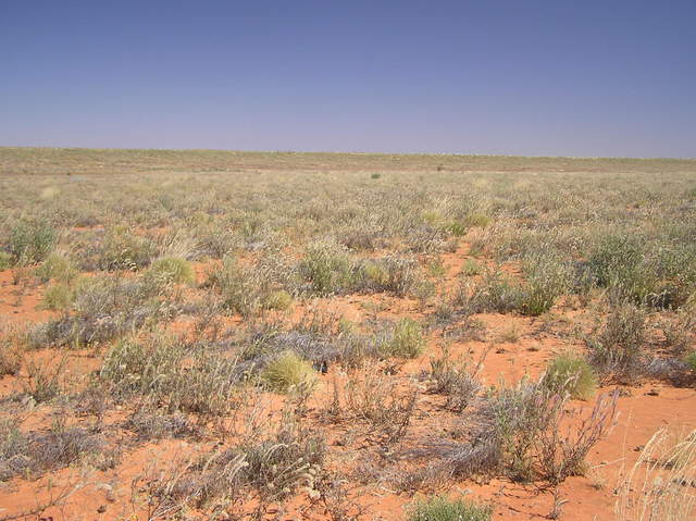 View of the Confluence