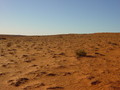 #5: View North