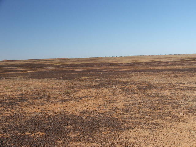 The general area of the Confluence 25S 141E
