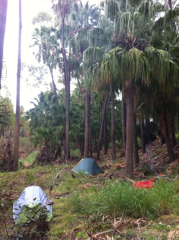 Camping near Cracow on the way home