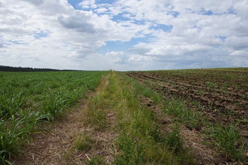 View North (towards Ellerays Road, 300 m away)