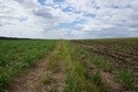 #3: View North (towards Ellerays Road, 300 m away)