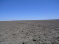 #3: South
