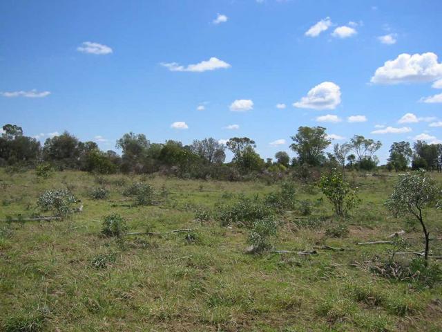 At the spot looking north towards the road