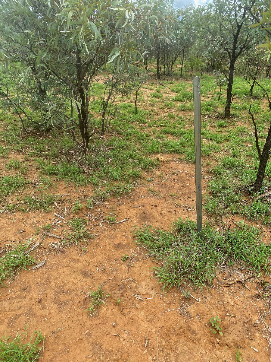 The confluence point lies in ranch land.  This aluminium post appears to mark the point.
