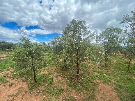 #2: View North (across Clara Creek Road)