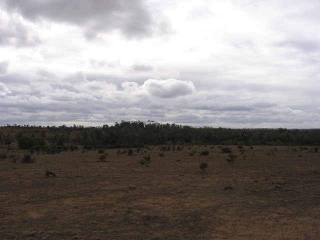 Looking north from the confluence.