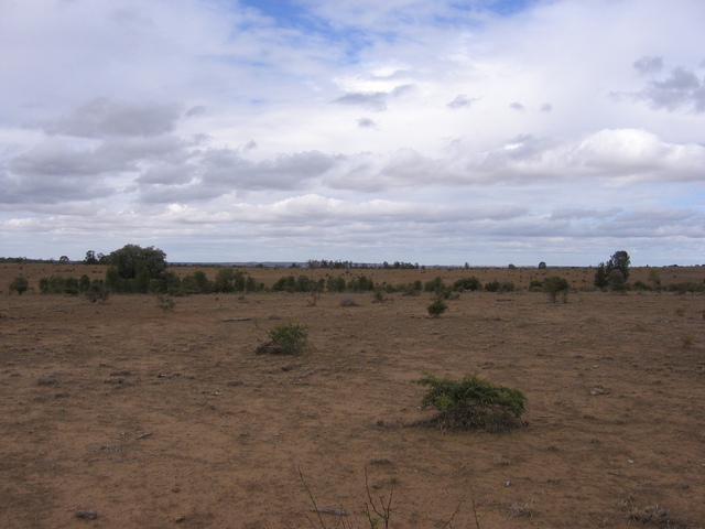 Looking east from the confluence.