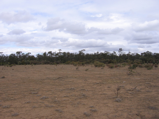 Looking south from the confluence.