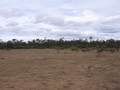 #5: Looking south from the confluence.