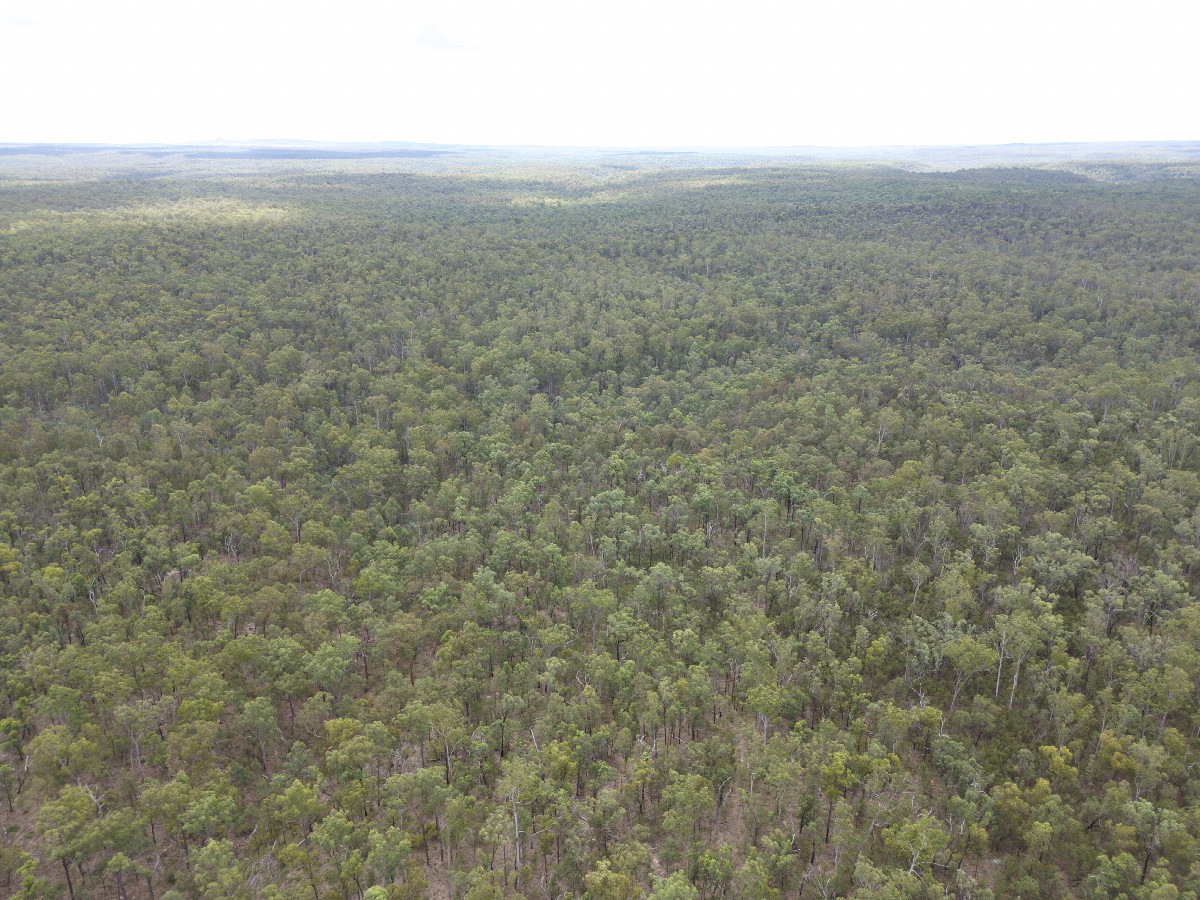 View North, from 120m above the point