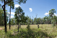 #12: The view from where I parked (1.84 km from the point).  I crossed this gate to walk towards the point.