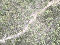 #7: Looking down on the point from a height of 120m