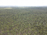 #8: View North, from 120m above the point