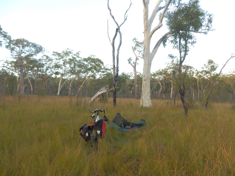 The Camp at a Distance of 260 m