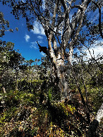 #6: auf dem Weg zum Punkt