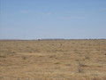 #4: 27E 142S Photo Looking west towards Durham Range