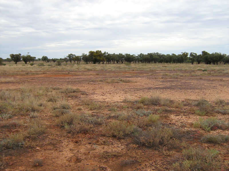 Confluence point is in clay pan.