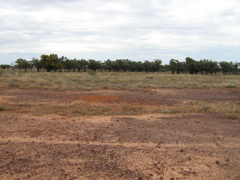 View to the north.