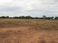 #3: View to the east.