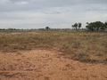#4: View to the south.