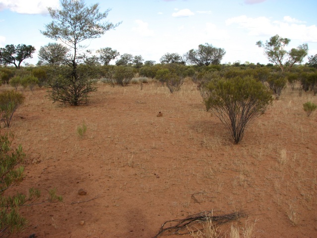 General view of confluence