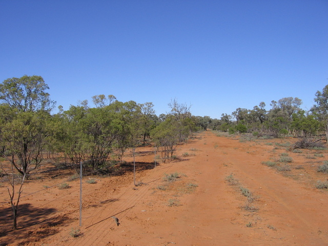 Looking south from the confluence.