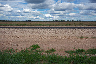 #3: View East