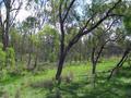 #4: The view west from the confluence