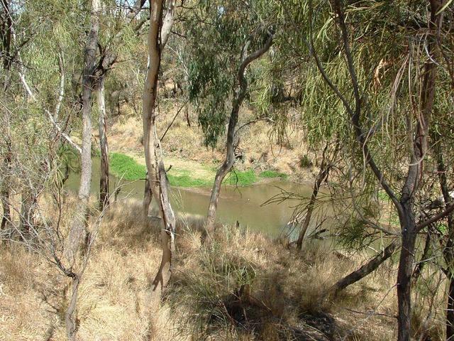 The Condamine River near the Confluence