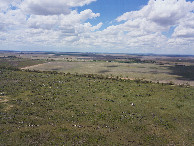 #8: View North, from 120m above the point