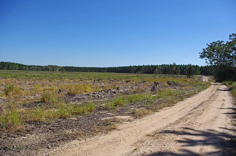 The general area from the main track.