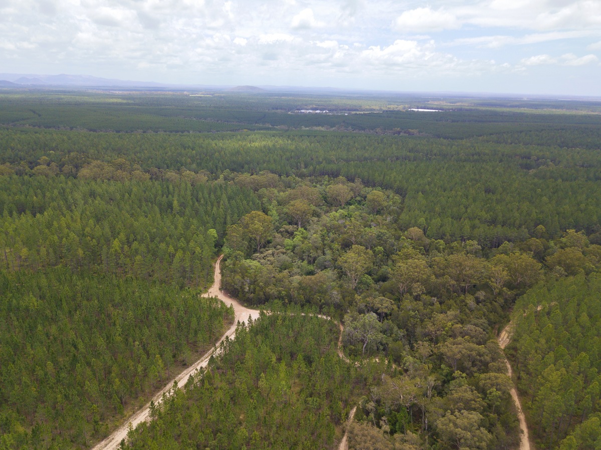 View North, from 120m above the point