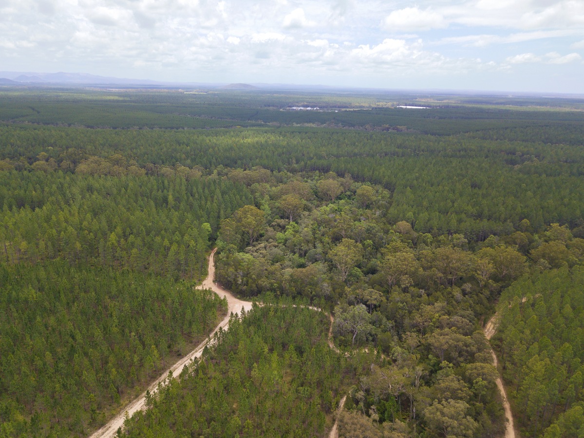 View North, from 120m above the point