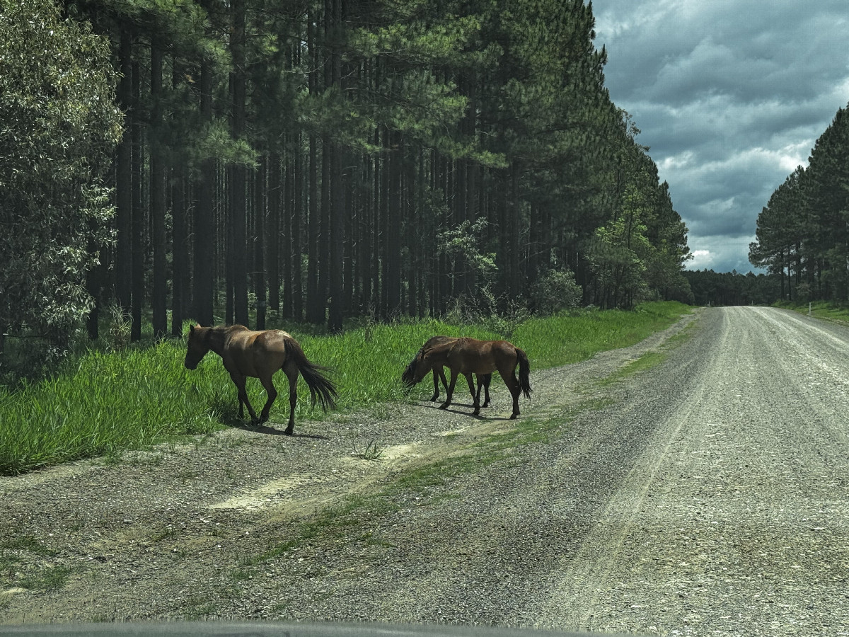 auf dem R&uuml;ckweg