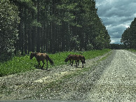 #11: auf dem R&uuml;ckweg