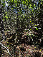 #2: Blick nach Osten