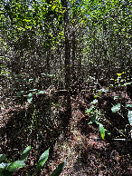 #3: Blick nach S&uuml;d