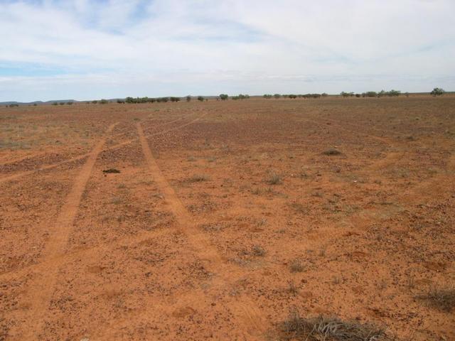 South Aspect of Confluence Point