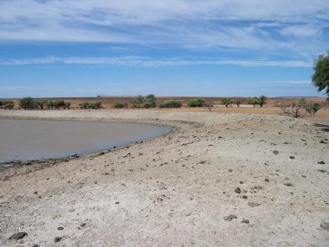 Life Sustaining Dam