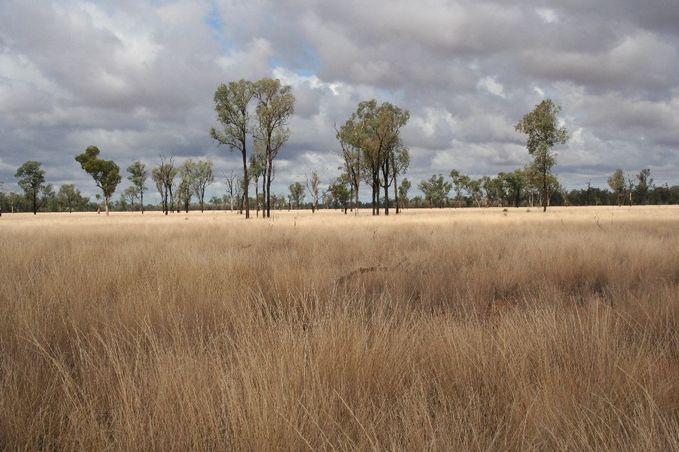 View to the South