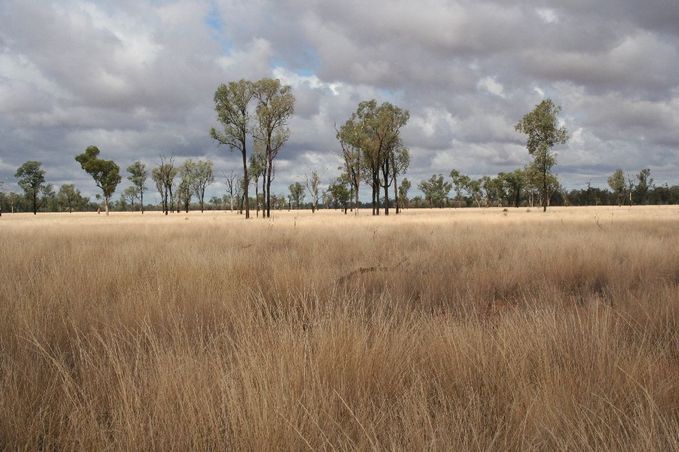 View to the South