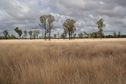 #3: View to the South